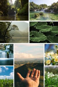 Nature beauty quotes