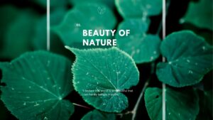 Nature beauty quotes