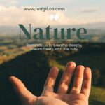 nature beauty quotes