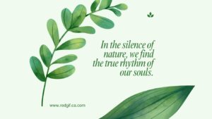 Nature beauty quotes