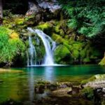 beautiful nature wallpaper