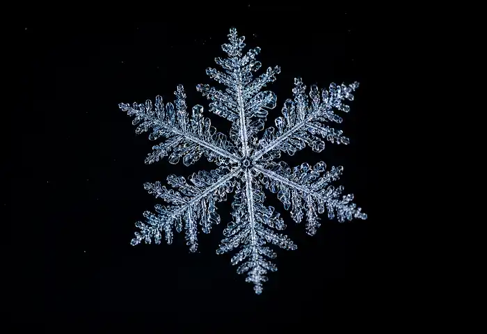 frost crystal dendrite ice pattern