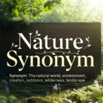 nature synonym