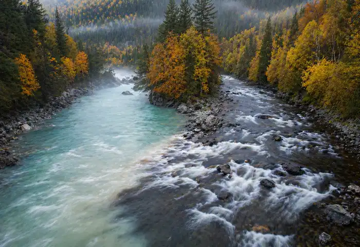 river confluence two rivers meeting forested valley