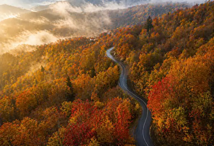 roaring fork motor nature trail