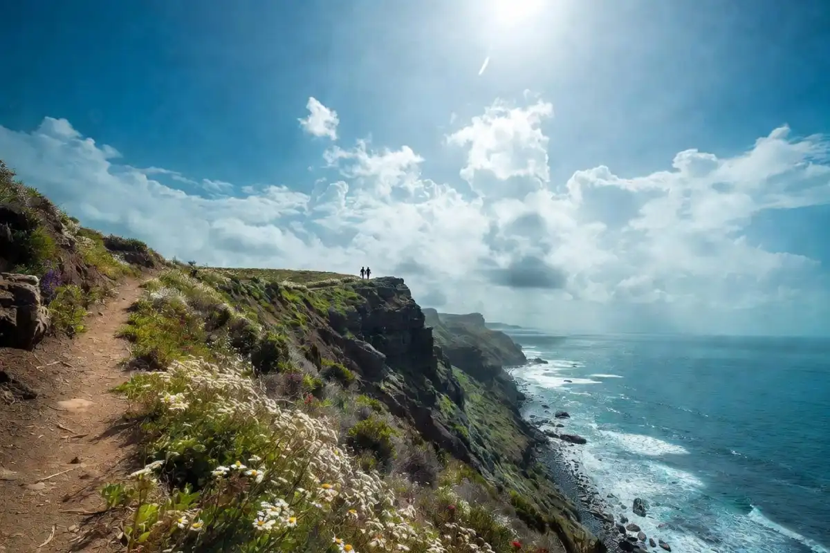Scenic coastal walking trail with ocean views and blooming wildflowers