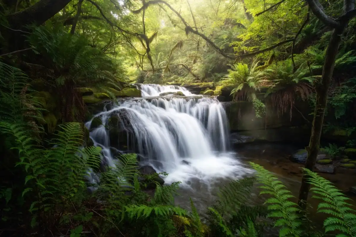Small waterfall cascading over mossy limestone rocks into a calm pool in a forest canyon