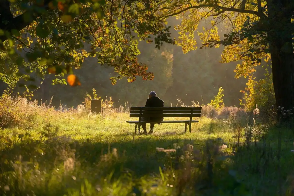 Person sitting quietly at the edge of a sunlit woodland natural burial meadow in reflection