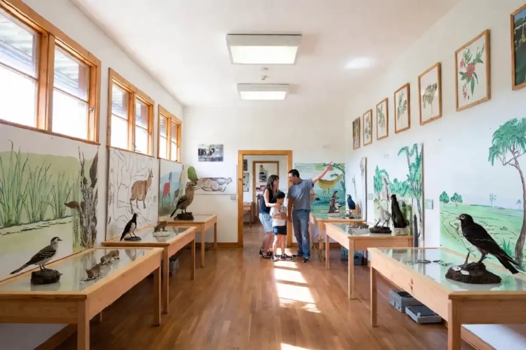 Indoor wildlife exhibit at Hidden Oaks Nature Center with nature displays and educational panels