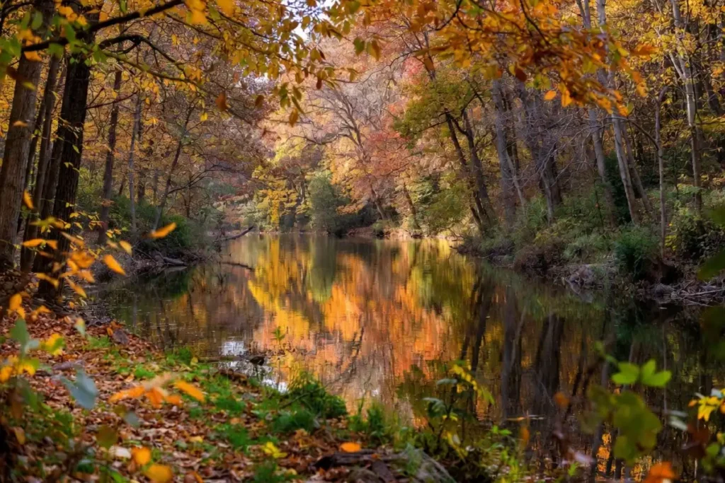 Peaceful autumn reflection of trees along Indian Creek within the nature center
