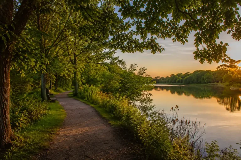 Scenic walking trail at Lake Katherine Nature Center surrounded by trees