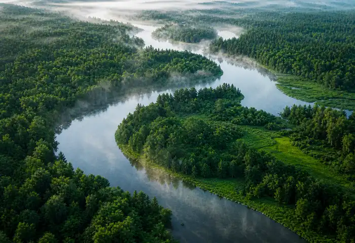Aerial view of a winding river through lush green forest — water-inspired nature boy names
