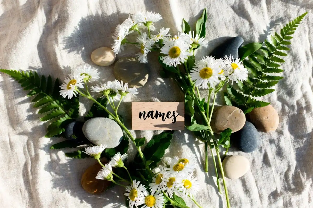 Wildflowers, ferns, and smooth stones arranged on linen to represent nature girl names inspiration