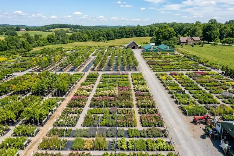 Nature Hills Nursery wide selection of trees shrubs and perennials displayed outdoors