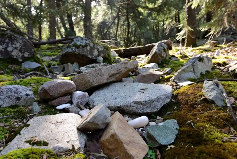A collection of colorful natural stone arranged on a mossy forest floor in soft sunlight