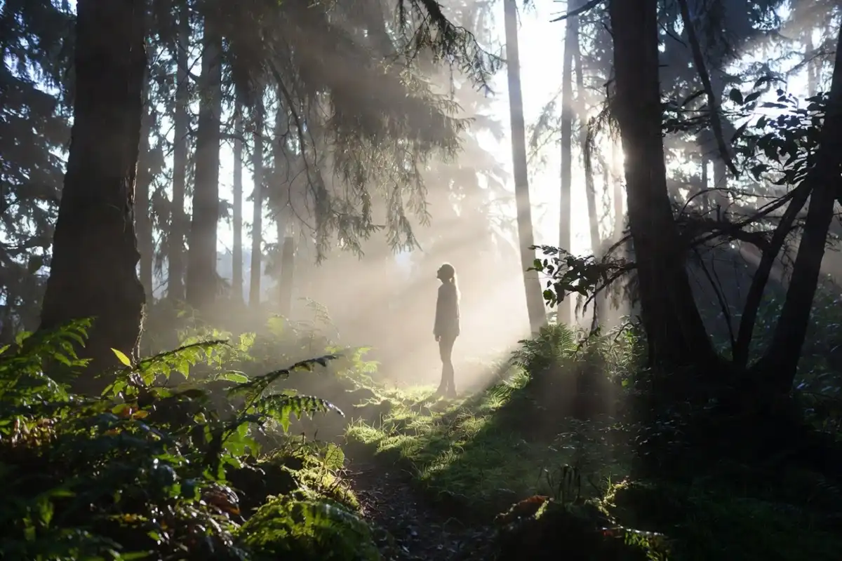 Woman taking a mindful nature walk along a quiet misty forest trail