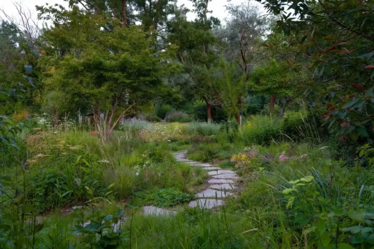 nice nature build backyard garden with stone path and native plants