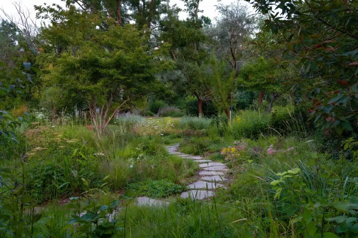 nice nature build backyard garden with stone path and native plants