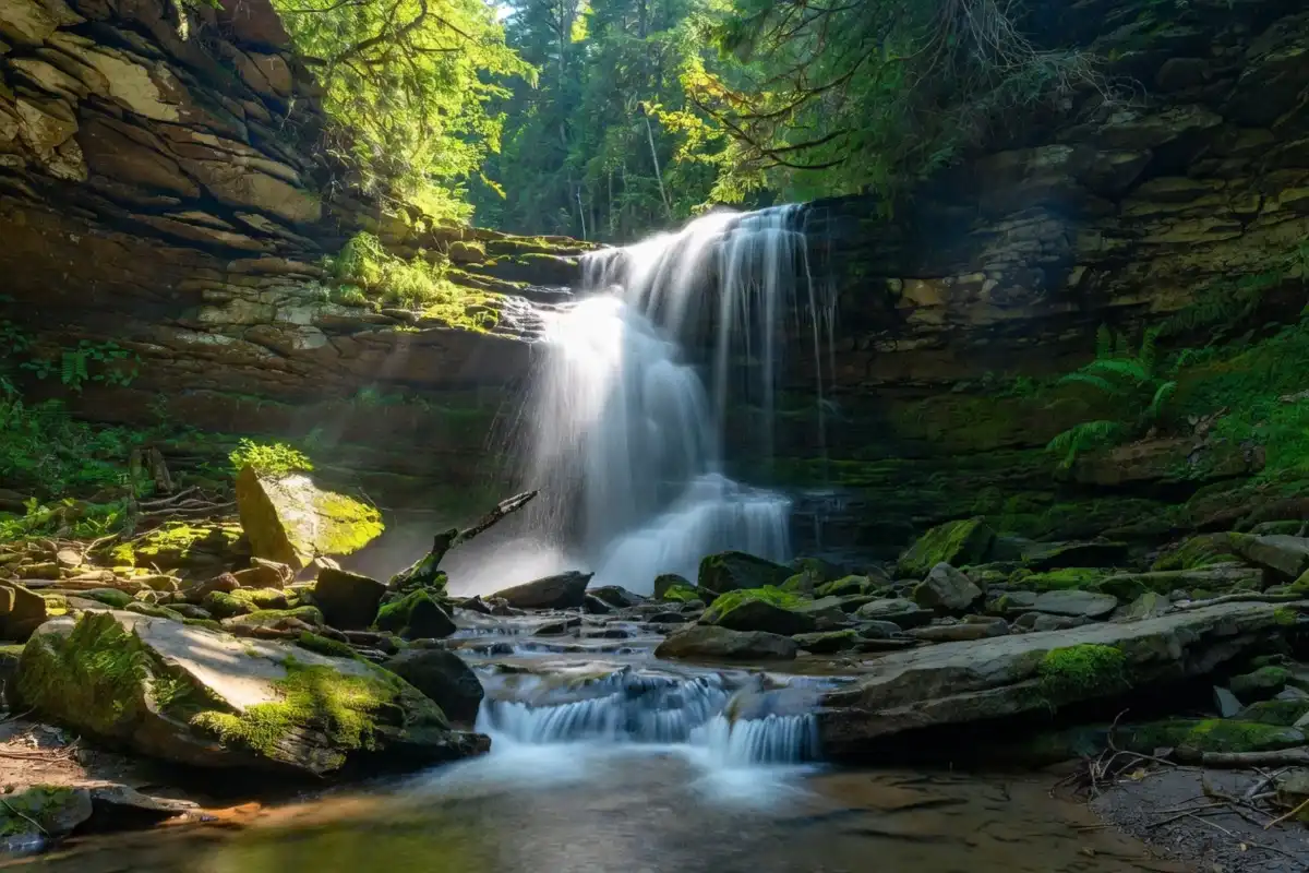 Hidden waterfall in a dense forest trail representing secret nature discovery