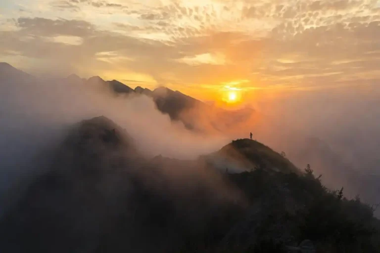 Best Nature Photos of 2026