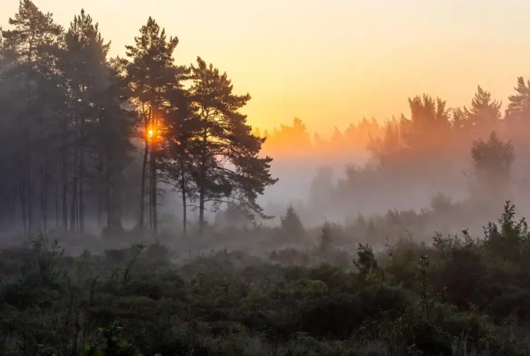 Nature Photos 2026: Stunning Earth Beauty Shots